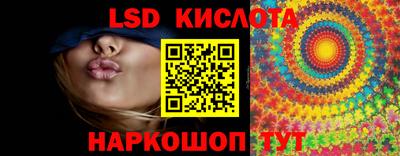 спиды Камышлов