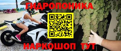 спиды Камышлов