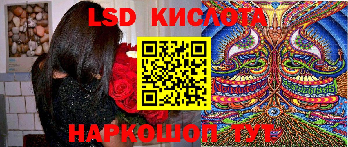 МЕФ Курчалой