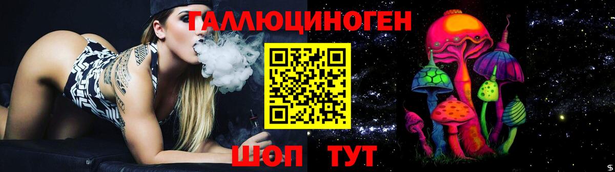 Псилоцибиновые грибы Cubensis  как найти наркотики  Курчалой  Вход с VPN 
